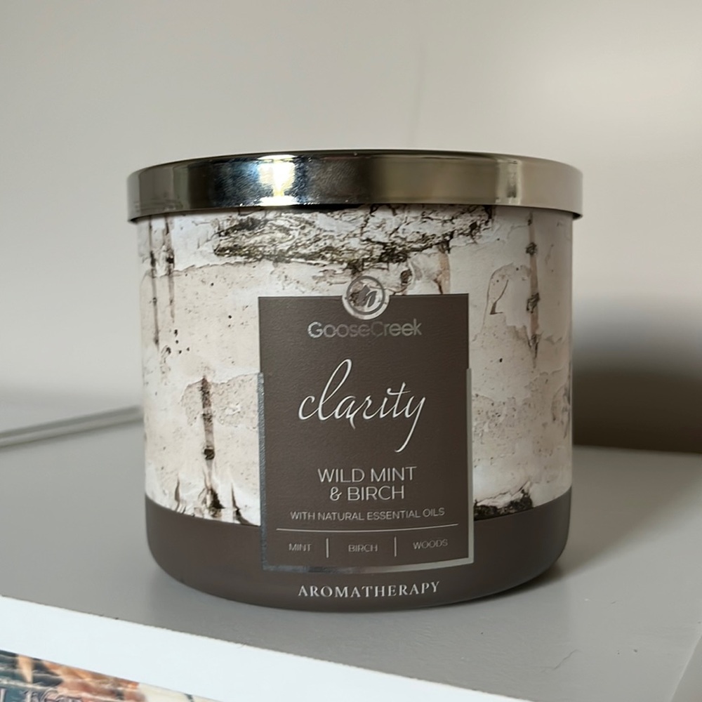 Wild Mint and Birch Goose Creek Candle